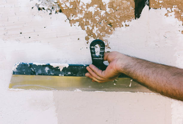 istock hairy hand guest worker with a steel spatula plastering the wall 858160406
