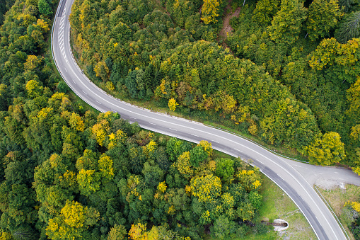 Road through the forest - aerial view