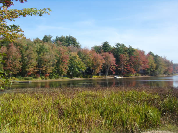 istock Autumn in Maine 858169094