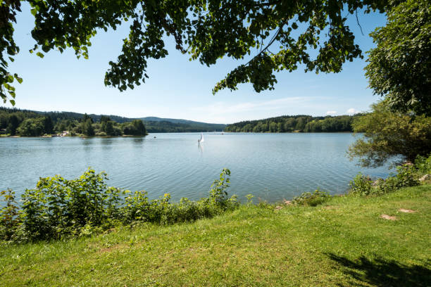 istock Nice lake shore with framed by branches of a tree 858176316