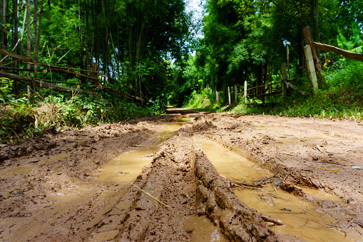 dirt and muddy rural road during a jungle trip through bamboo forest in village at countryside after the rain.