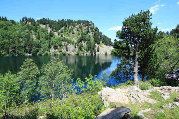 istock Pyrenean lake in Occitanie. 858177296
