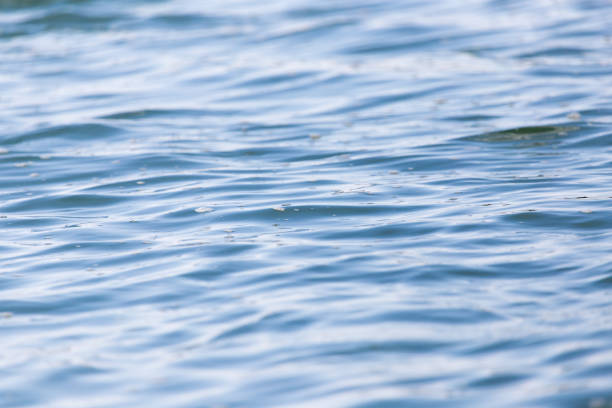 istock beautiful background of the water surface 858181062