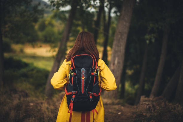 istock Woman hiking in the forest 858189050