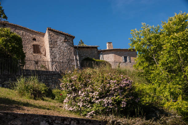 istock savel,drome,france 858198410
