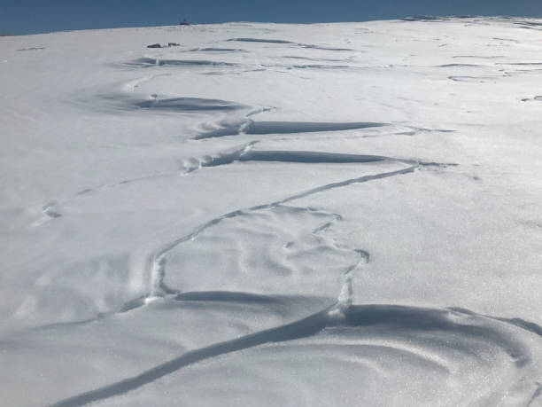istock Slope of snow with pattern S shaped wind and sun background 858203340