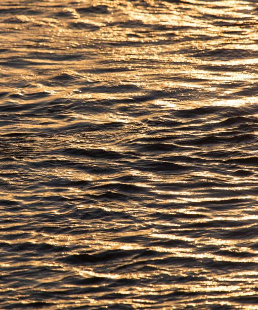 istock Background of the water surface at sunset 858205600