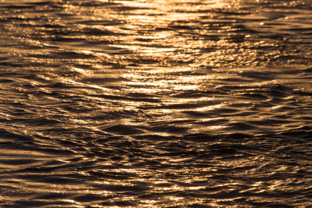 istock Background of the water surface at sunset 858208312