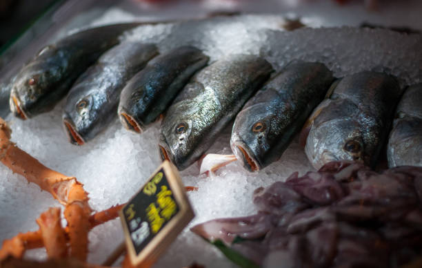 istock fish on ice for sale in an open market 858209530