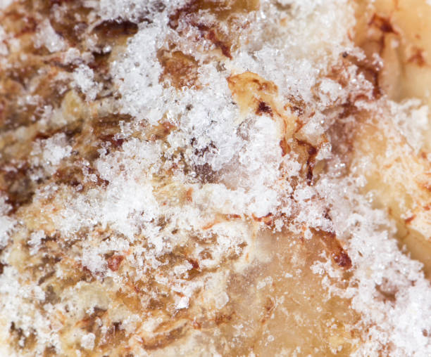 istock ice on the meat. close-up 858211984