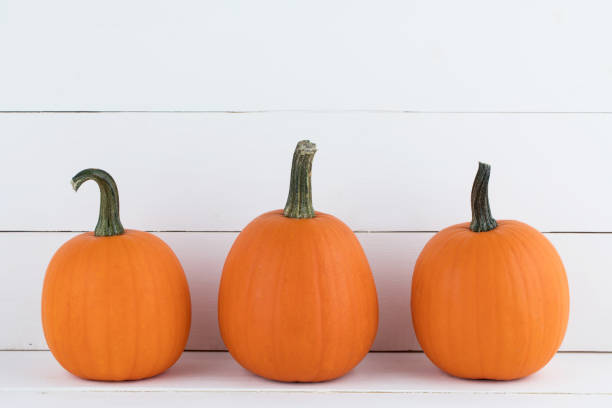 istock Pumpkins on wooden background 858232006