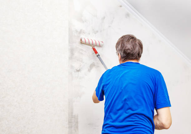 istock worker painting wall with background glue for a wallpaper 858232238