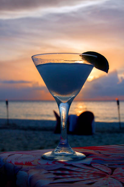 istock Sunset Cocktail on the Beach 858232398