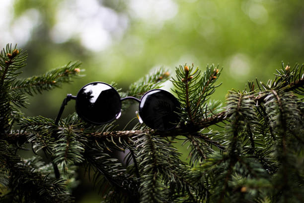 Lenon glasses on a tree.