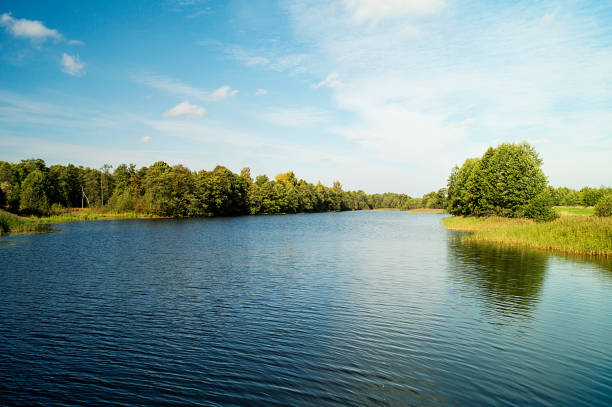 istock Autumn landscape in rural terrain 858243610