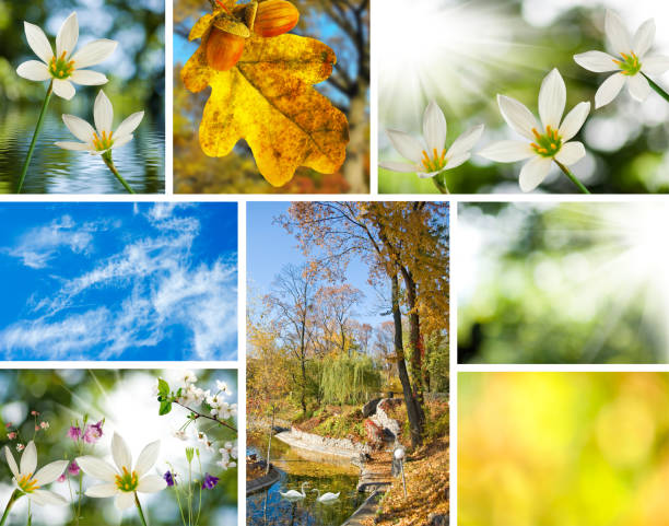 istock image of mix beautiful views of nature clos 858252018