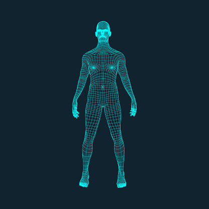 3D Model of Man. Polygonal Design. Geometric Design. Business, Science and Technology Vector Illustration. 3d Polygonal Covering Skin. Human Polygon Body. Human Body Wire Model.