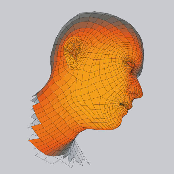 istock Head of the Person from a 3d Grid. Human Head Wire Model. Human Polygon Head. Face Scanning. View of Human Head. 3D Geometric Face Design. 3d Polygonal Covering Skin. Geometry Polygon Man Portrait. 858253532