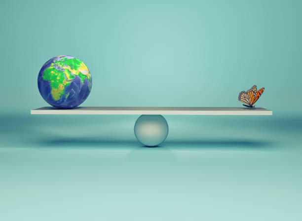 istock Frail balance of the environment 858258832