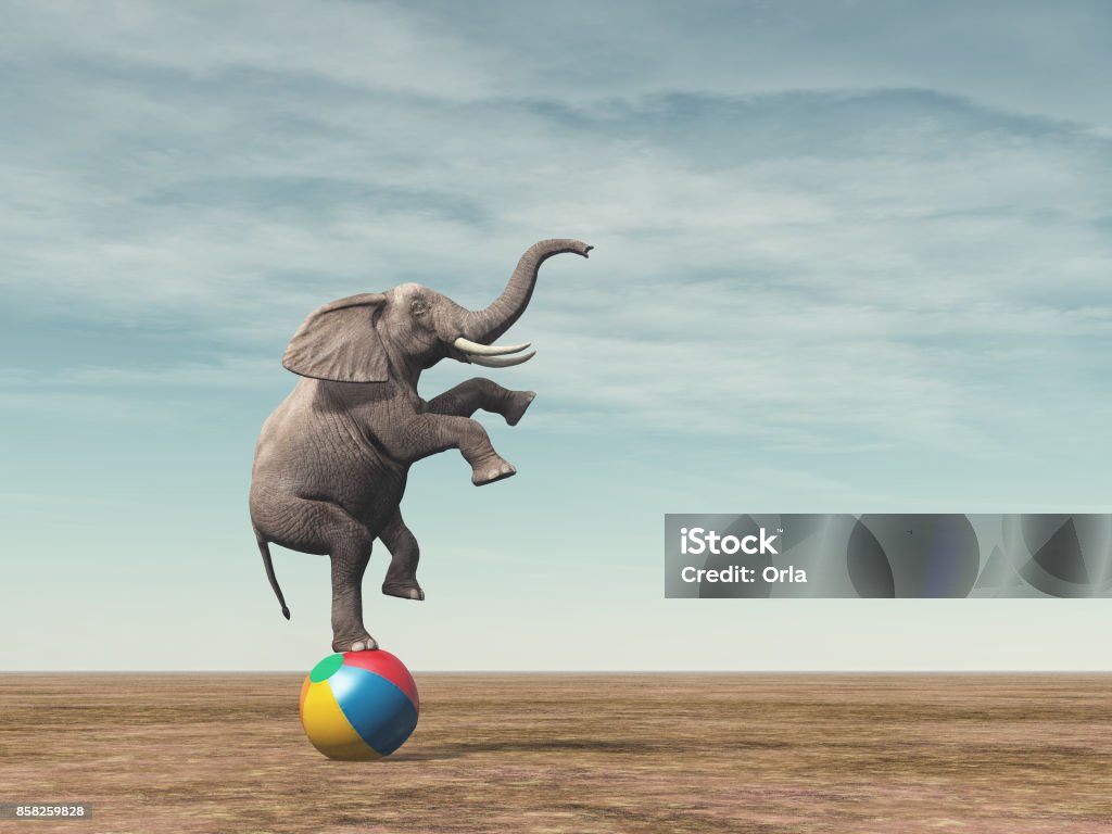 Surreal image of an elephant balancing on a beach ball Surreal image of an elephant balancing on a beach ball - 3d render illustration Elephant Stock Photo