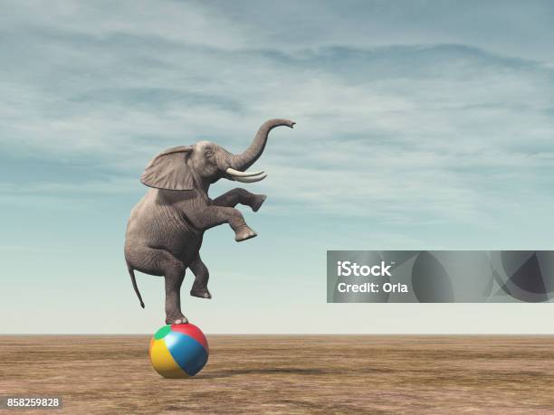 Surreal Image Of An Elephant Balancing On A Beach Ball Stock Photo - Download Image Now