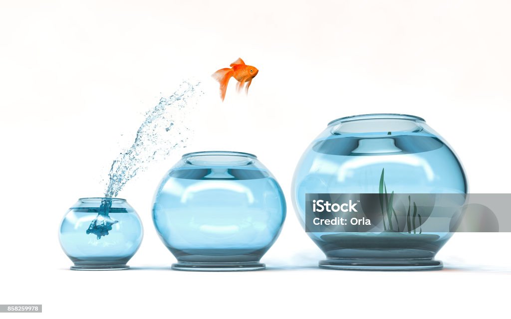 Jumping to the highest level Jumping to the highest level - goldfish jumping in a bigger bowl - aspiration and achievement concept. 3d render illustartion Aspirations Stock Photo