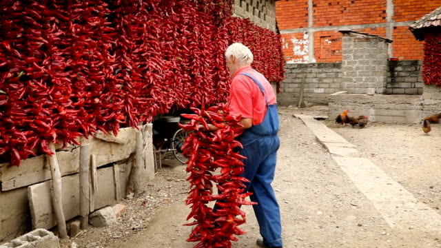 Man with a peppers string