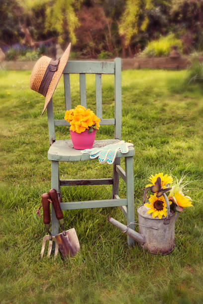 istock Rustic green wooden chair 858263114
