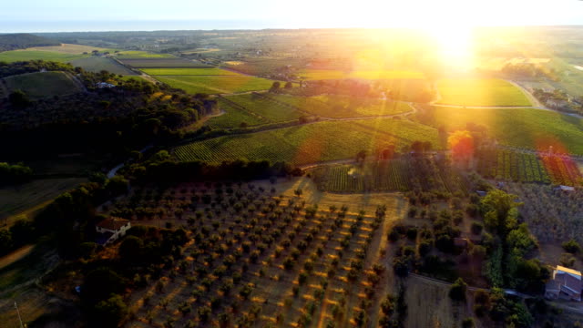 Aerial Shot of the Beautiful Italian Countryside with it's Farms, Vineyards, Olive Trees, Forests, Hills and Fields.