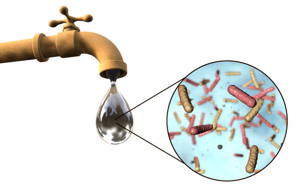 Safety of drinking water concept Safety of drinking water concept, 3D illustration showing old tap with dirty water and close-up view of water-borne microbes vibrio stock pictures, royalty-free photos & images