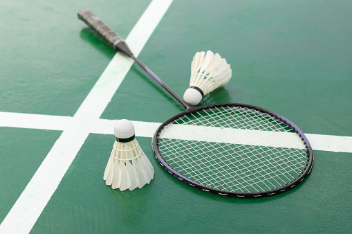 Badminton racket and shuttlecocks on green court..