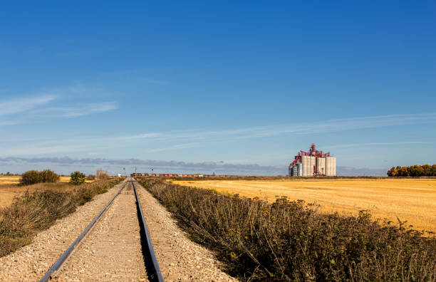 istock Agricultural harvest landscape in autumn 858276286