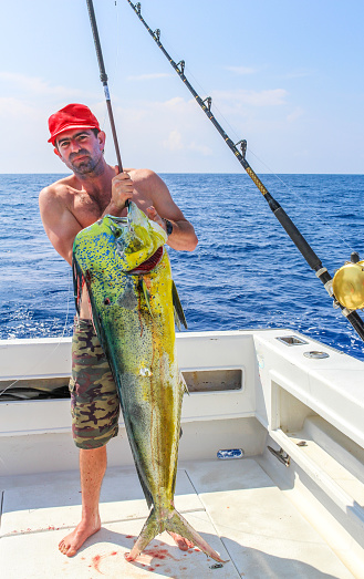 Mans hold up a giant colorful Mahi Mahi, freshly caught on a deep sea fishing boat