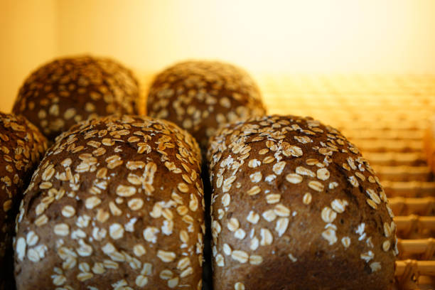 whole wheat grain baguette in oven with warm light.