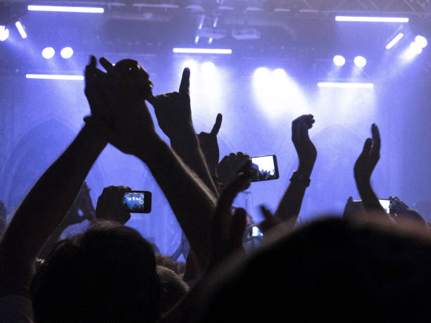 istock Concert crowd in front of a live stage 858293320