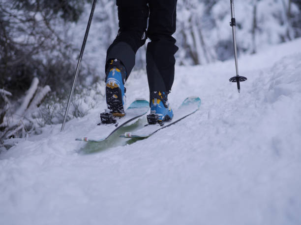 istock Rear view of person skiing in forest 858302146