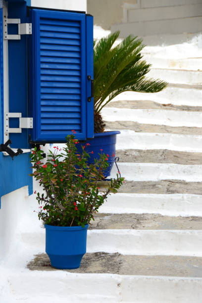 Greece,Parga with typical white Stairs-street with Christ plant and palm tree and blue shutter.