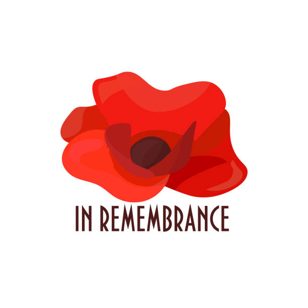 Vector illustration for Remembrance Day also known as Poppy or Armistice day: Poppy flower, heart shape, text in Remembrance. Veterans day poppy banner or card template. vector art illustration