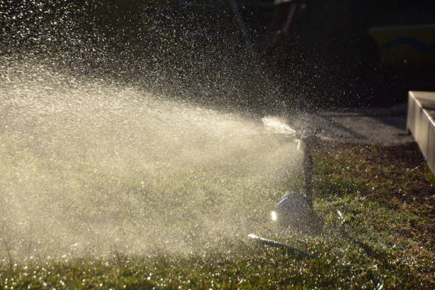 istock Wet lawn with sprayer in the background 858312346