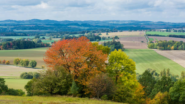 istock Colorful autumn panorama in sunlight 858312520