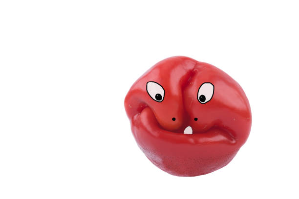 Red bell pepper with funny cartoon face