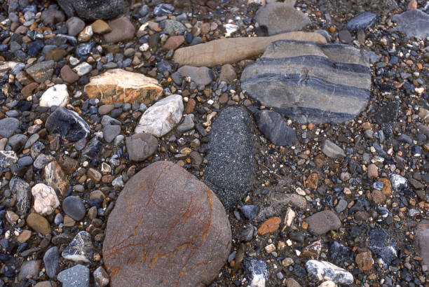 istock Isolated View of Dry Alaska Riverbed 858319644