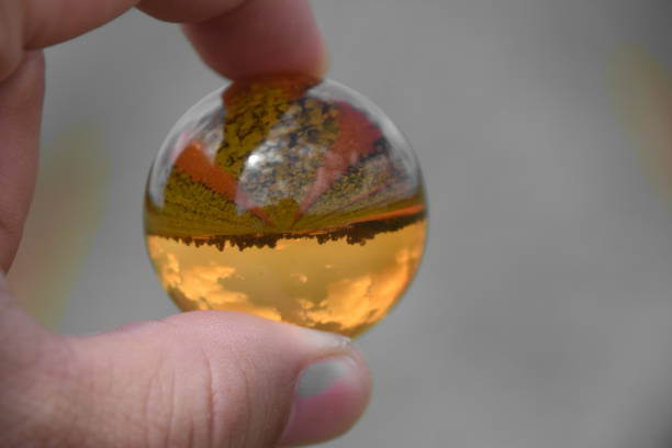 istock Field lettuce through a crystal ball 858319786
