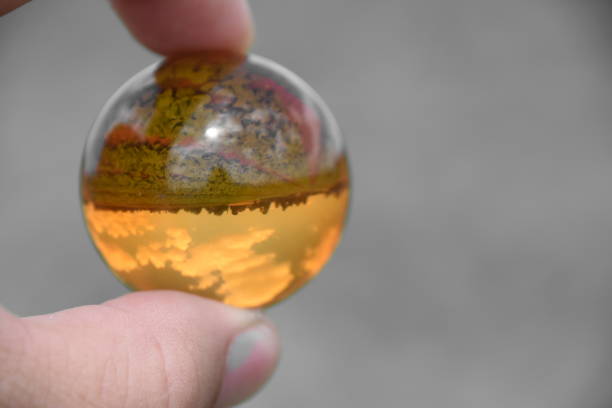istock Field lettuce through a crystal ball 858319824