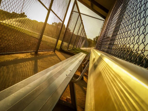 Sports, baseball player and team watch game, competition or competitive club match from substitute dugout. Fitness exercise, training workout or softball athlete throw ball during stadium performance