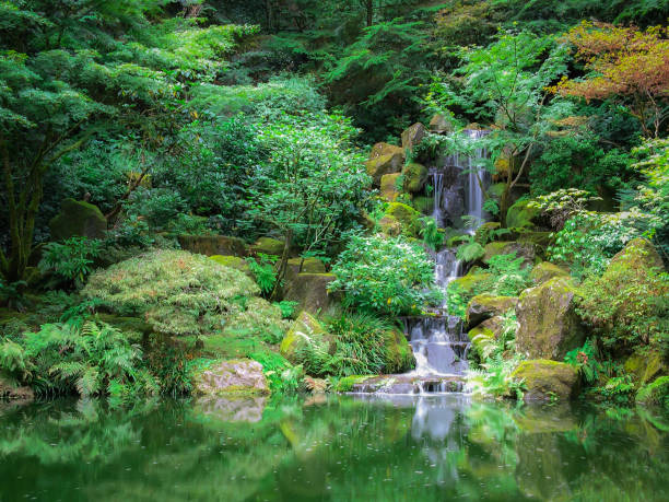 istock Japanese Zen Garden Pool 858322664