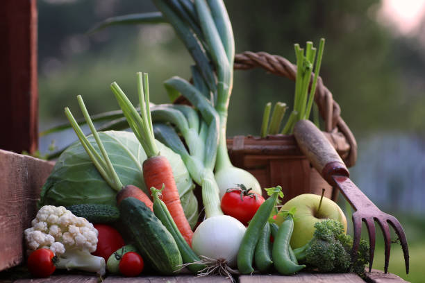 istock fresh vegetable harvest nature outdoor 858327008