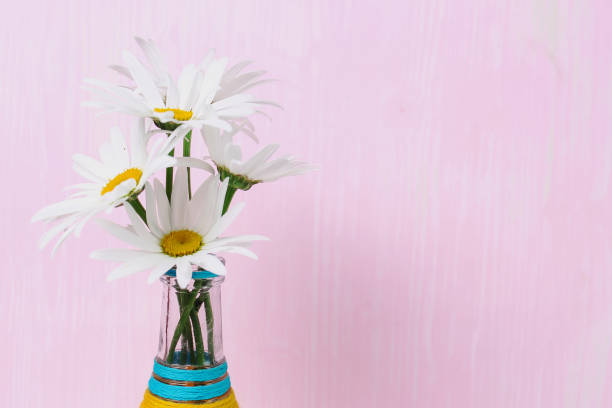 strauß gänseblümchen in einer vase - cut flowers white small still life stock-fotos und bilder