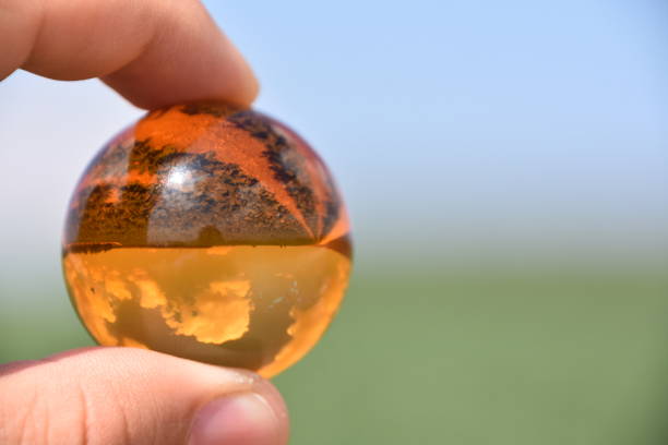 istock Field lettuce through a crystal ball 858328618