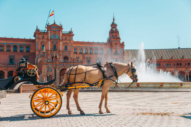 конный экипаж в севилье - sevilla plaza de espana seville spain стоковые фото и изображения